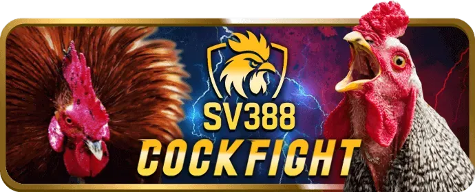 Cá cược thể thao tại win365 win