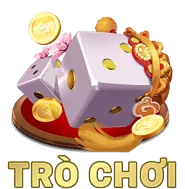 Biểu tượng bóng rổ